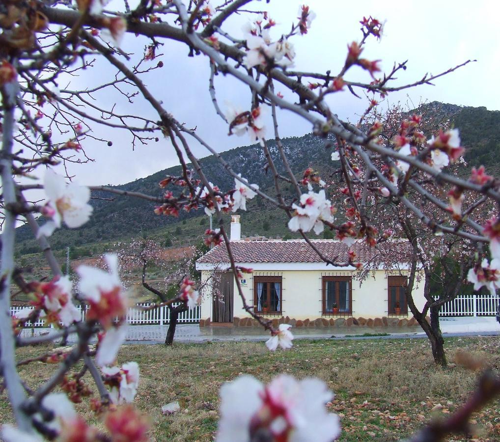 Гостевой дом Vivienda Rural Embalse San Clemente Уэскар Экстерьер фото